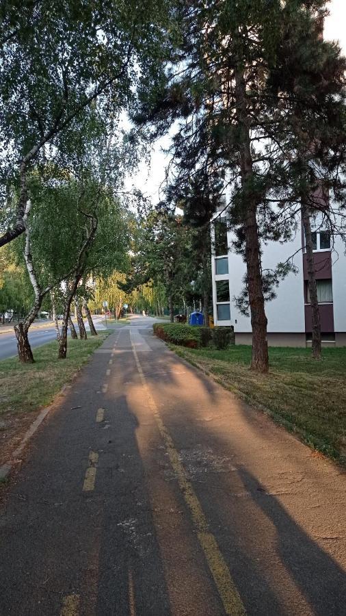 Colors Of Cvjetno Apartment Загреб Екстериор снимка